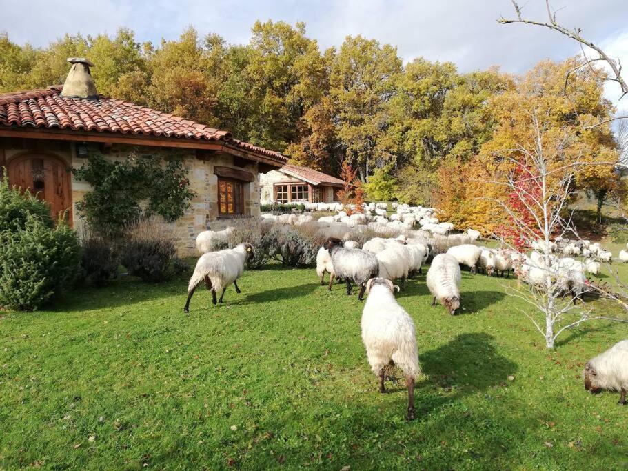 Вілла Guikuri Octogono Casa Rural 1, 2 Y 3Pax Murua Екстер'єр фото
